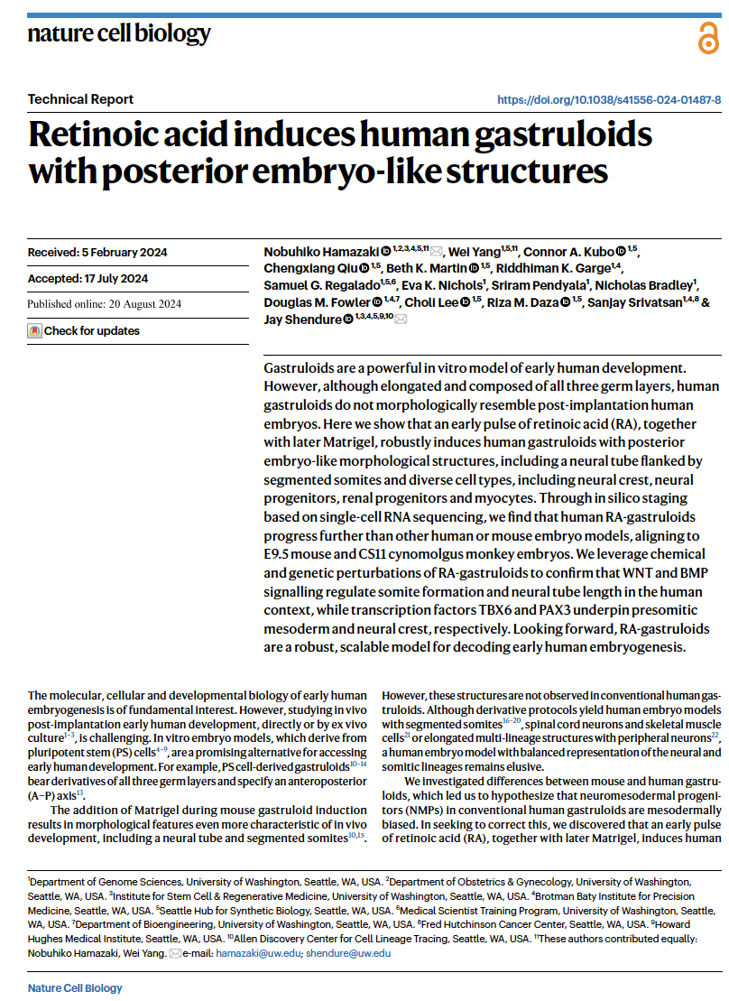 Hamazaki, Yang et al