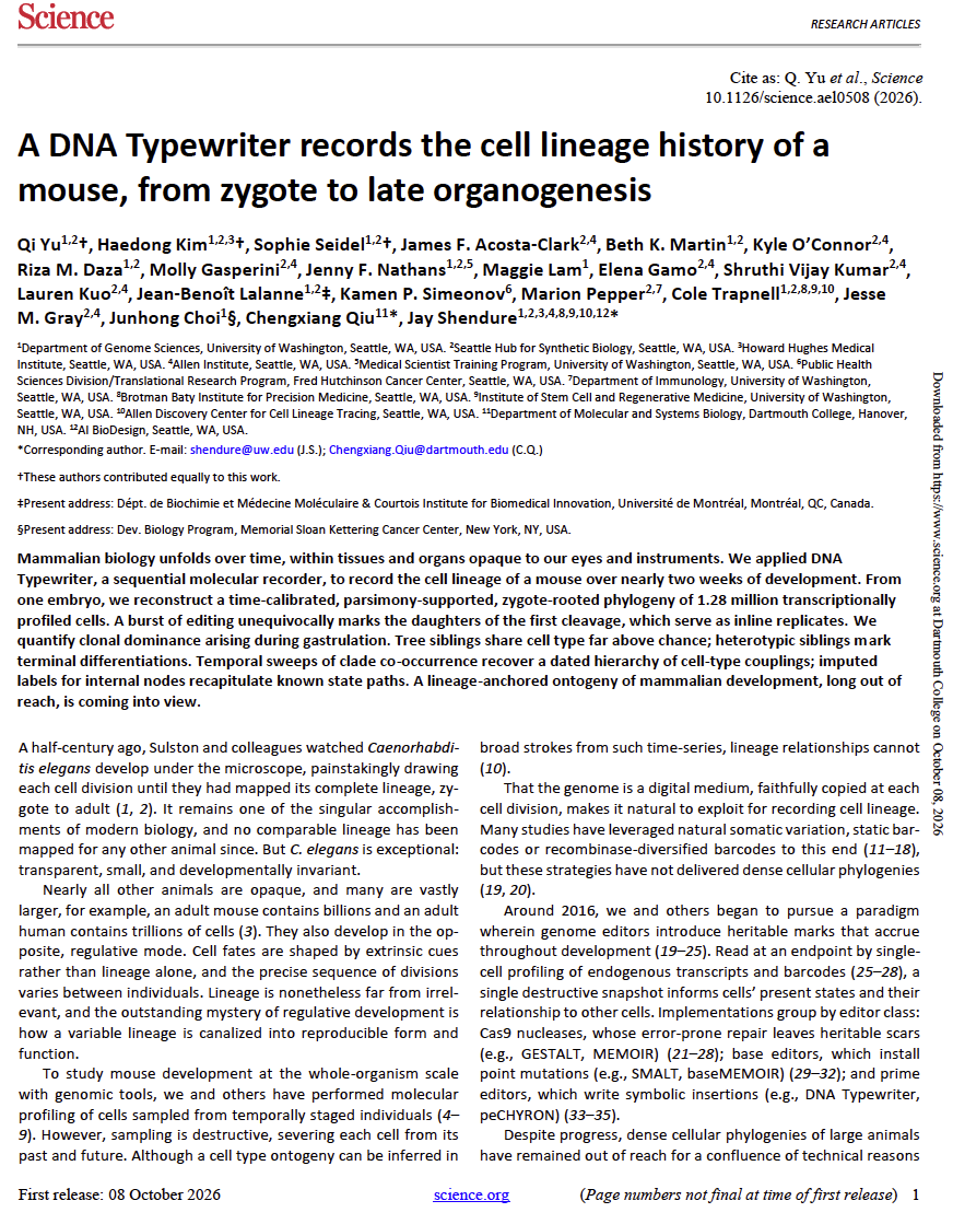 A DNA Typewriter records the cell lineage history of a mouse, from zygote to late organogenesis