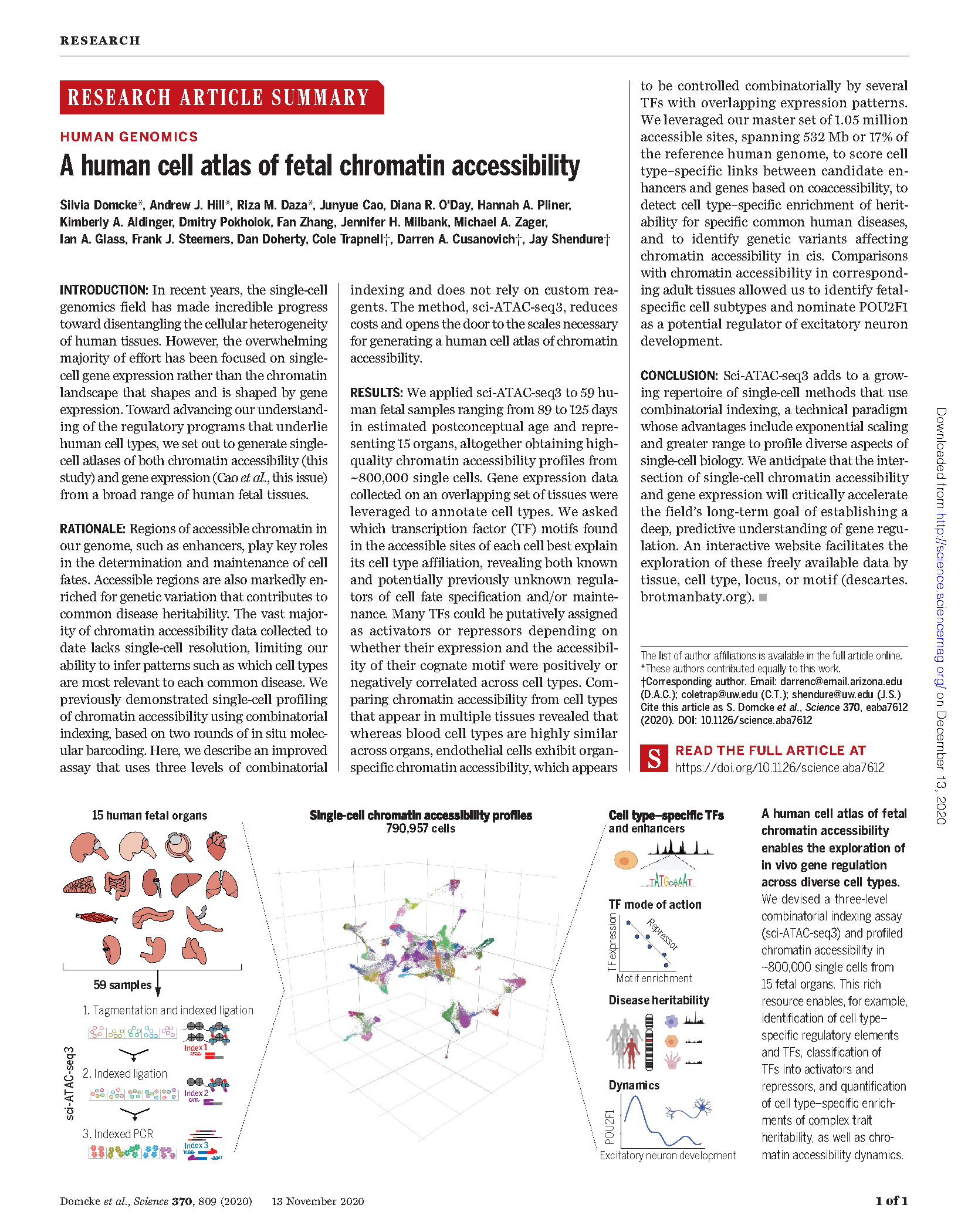 Domcke, Hill, Daza et al